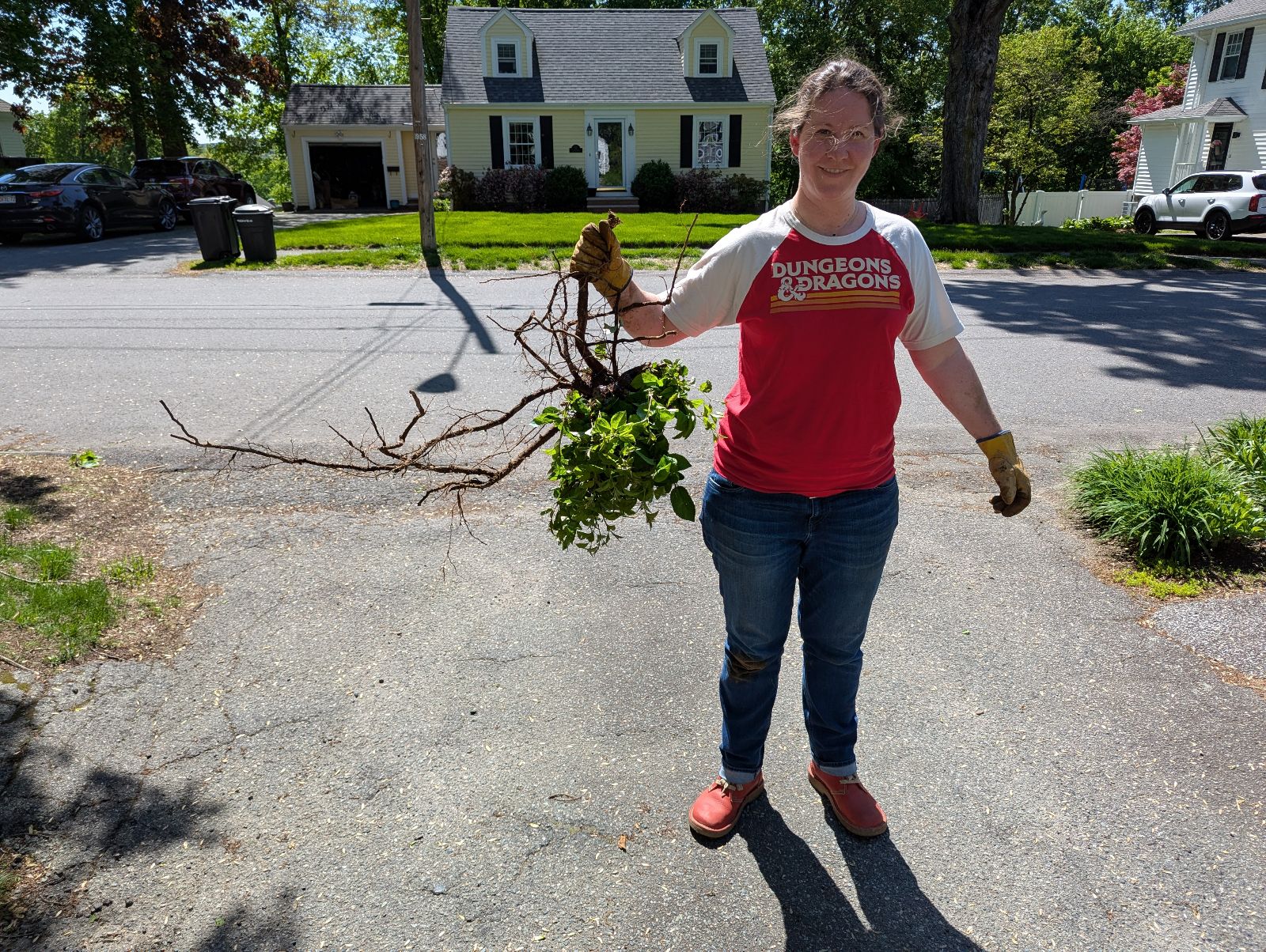 holly with tree