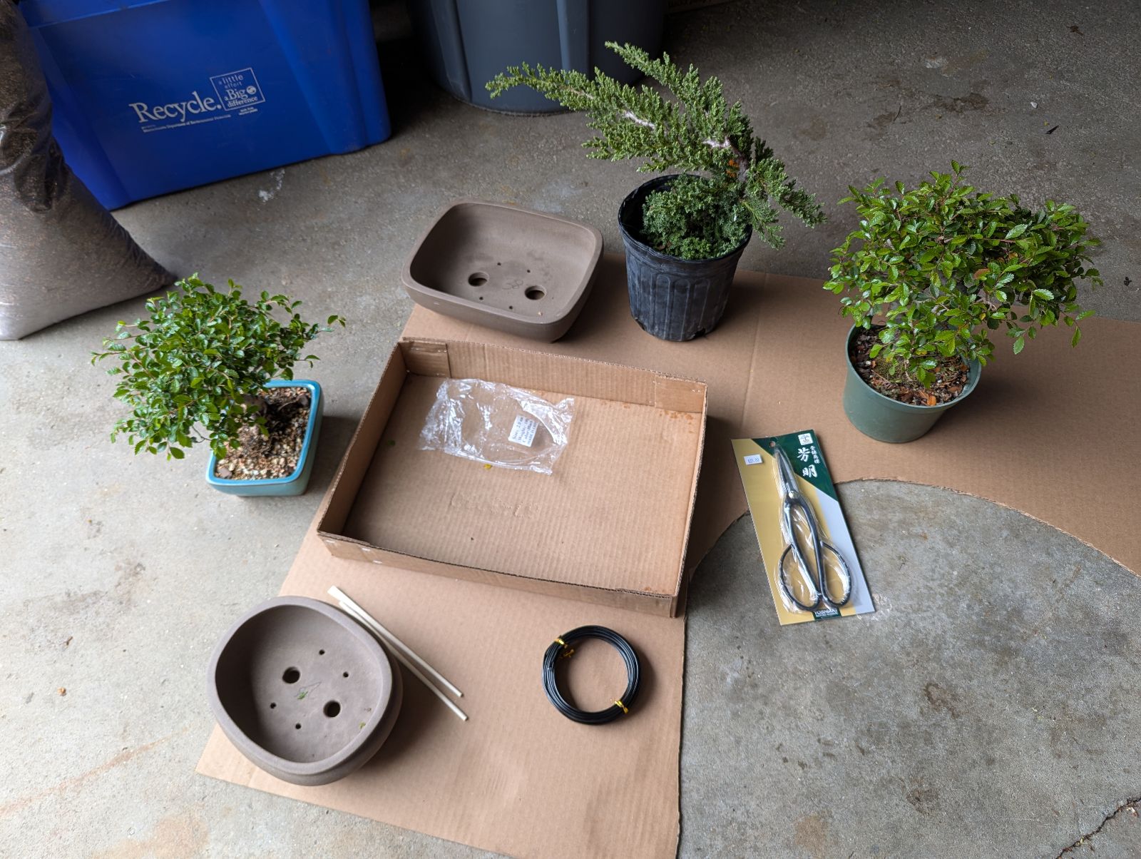 Repotting project
