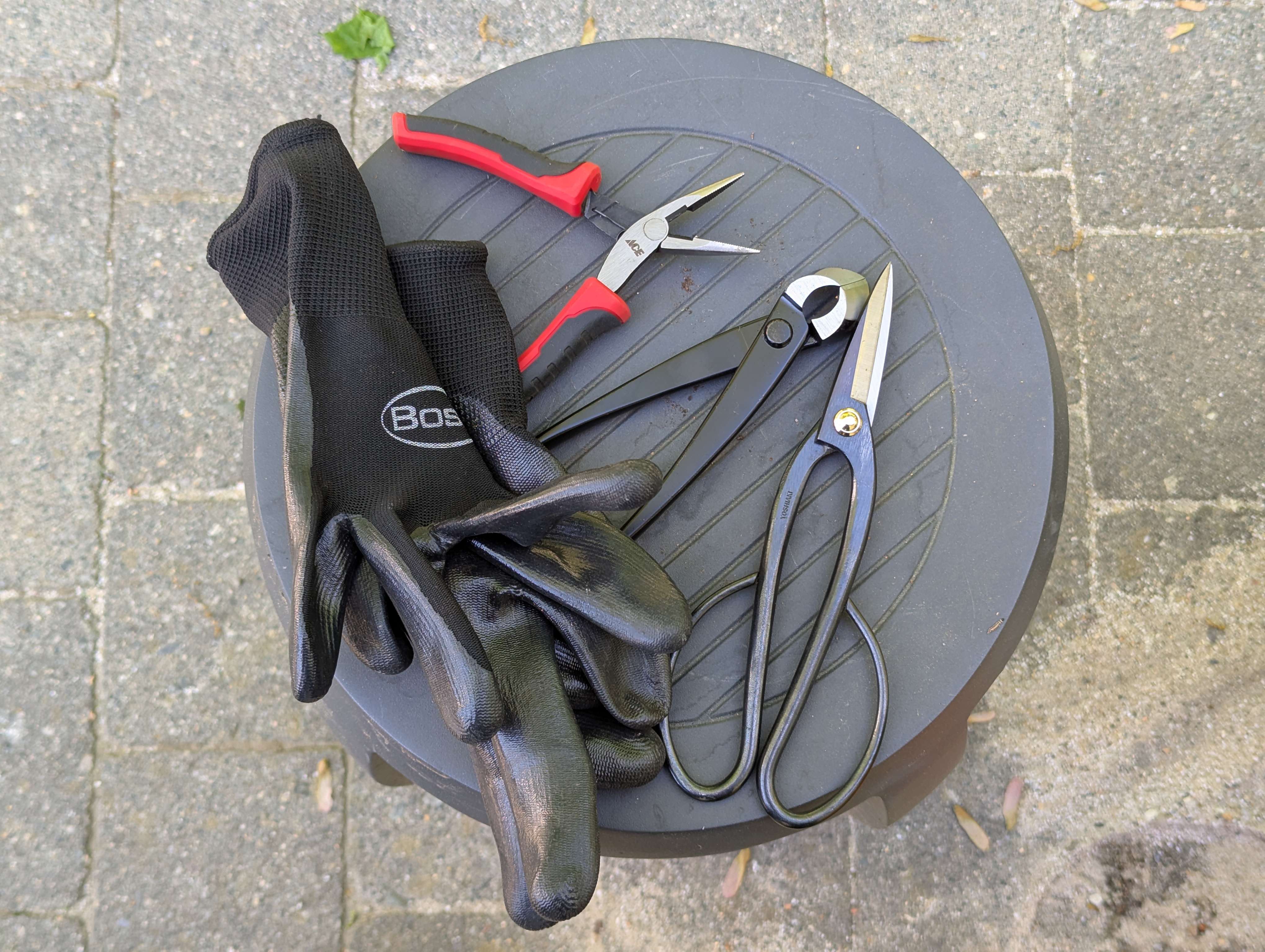 bonsai tools